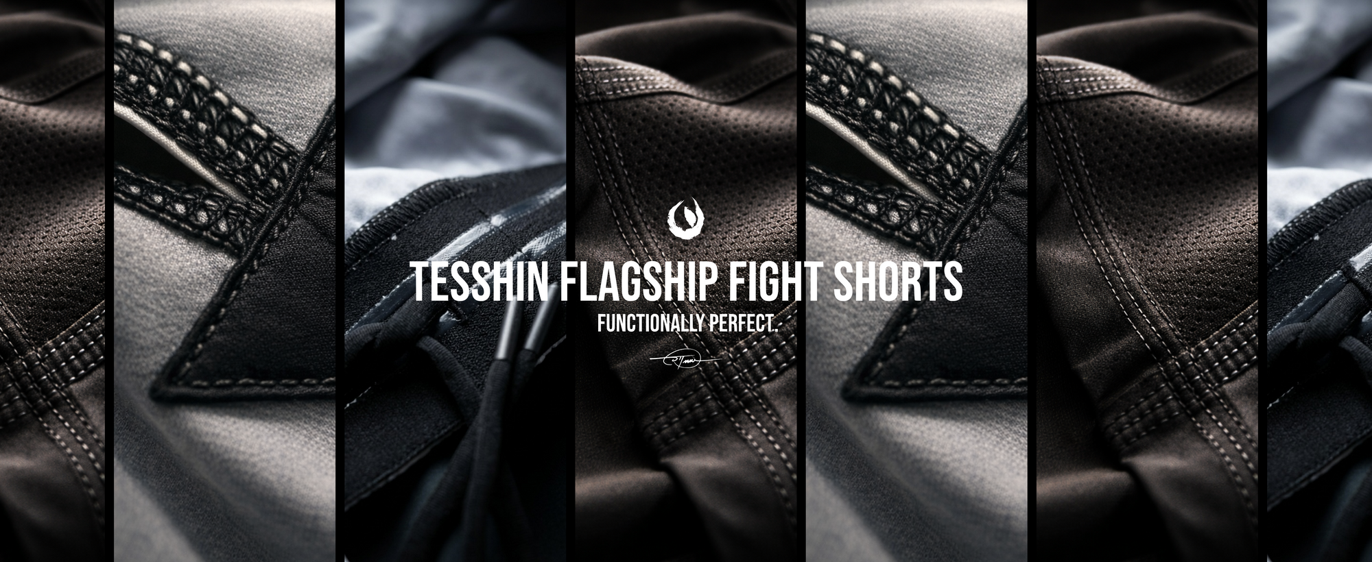 Tesshin Flagship Fight Shorts, functionally perfect